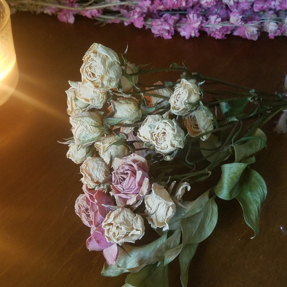 Dried petite roses white and pink